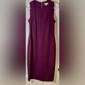NWT Calvin Klein Sheath Dress. Plum Burgundy. Size 4.